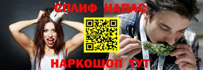 a pvp Ачхой-Мартан