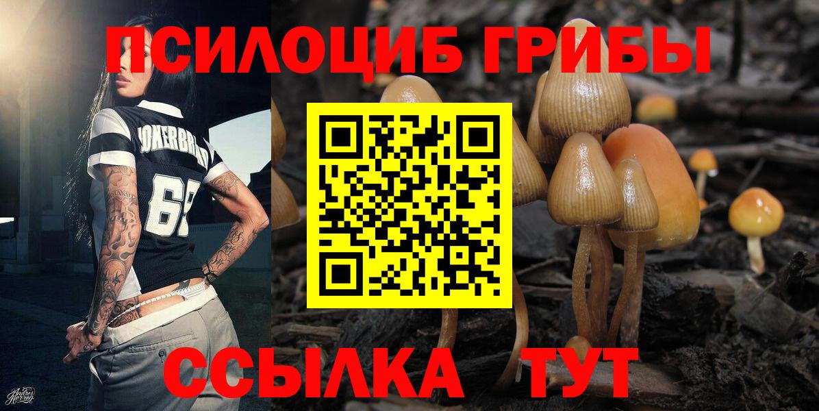 Великий Новгород  Галлюциногенные грибы Psilocybe  Вход с VPN  Галлюциногенные грибы Psilocybe 