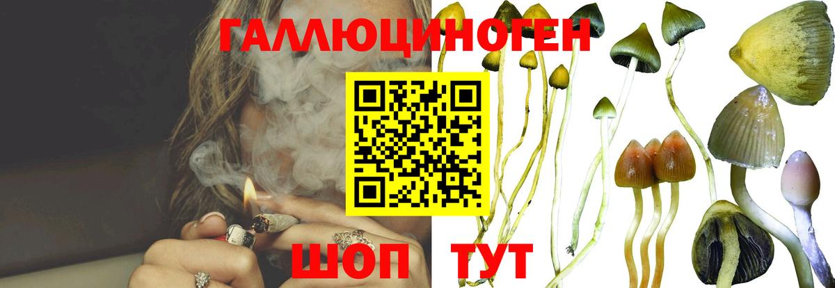 Галлюциногенные грибы Cubensis Великий Новгород